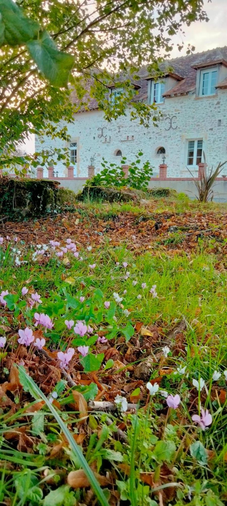 Gite & Chambre D'Hotes Du Moulin Villa Brulon Bagian luar foto